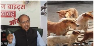 Goyal welcomed SC’s comments on stray dogs, said – FIR should be registered against those who feed stray dogs.