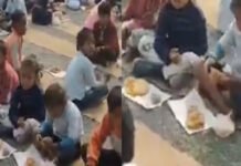 Made children sit down in the cold, served halwa-puri on waste paper; open pole of the system