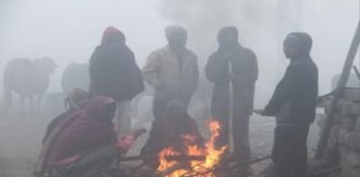 Mercury below 5 degrees in 9 states including MP-Rajasthan