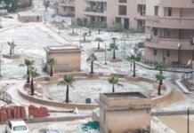 Weather of Bihar changed due to snowfall in hilly areas, rain in Bagaha-Buxar, alert in 5 districts