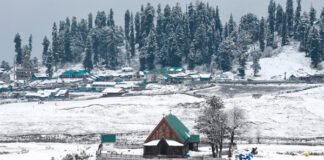 Snowfall in hilly areas, rain and dense fog in plain areas