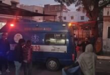 Car rammed into trailer, 5 MP devotees killed