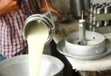 With increasing production in the country, cases of adulteration are also increasing, big brands are also under suspicion.