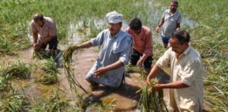 Big change in the weather of Kashmir…Farmers worried