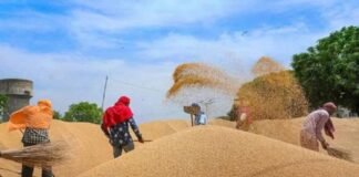 Center gives green signal to export of wheat and sugar