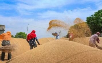 Center gives green signal to export of wheat and sugar