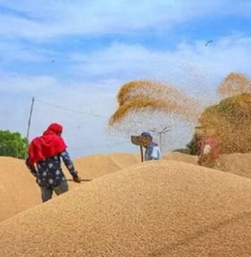 Center gives green signal to export of wheat and sugar