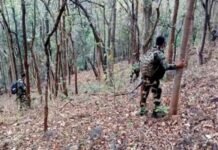 Top Naxalite Devji surrenders