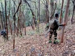 Top Naxalite Devji surrenders