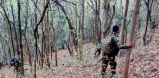 Top Naxalite Devji surrenders
