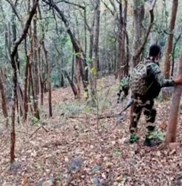 Top Naxalite Devji surrenders