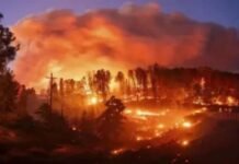 Army-Air Force work continues on war footing to extinguish forest fires in Arunachal and Nagaland.