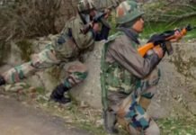 2 Jaish terrorists killed in Kishtwar