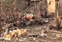 4 officers suspended, assistance of Rs 20 lakh each to affected families